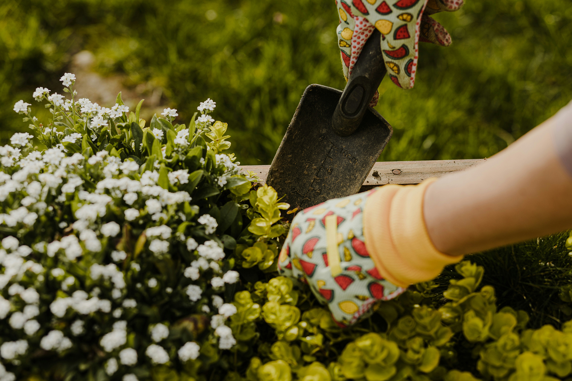 Low-Maintenance Landscaping: Enjoy More, Work Less